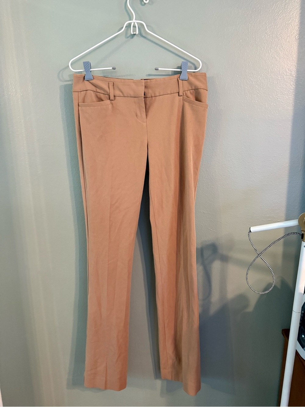 Express Women's Tan Straight-Leg Dress Pants
